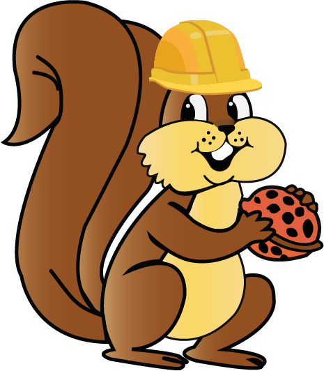 cascaneces con casco